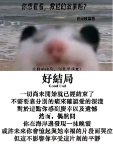 这样的结局，你满意吗？