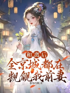 和离后，全京城都在觊觎我前妻